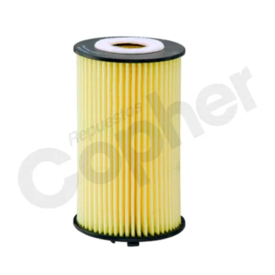FILTRO DE AIRE DE MOTOR CH10246