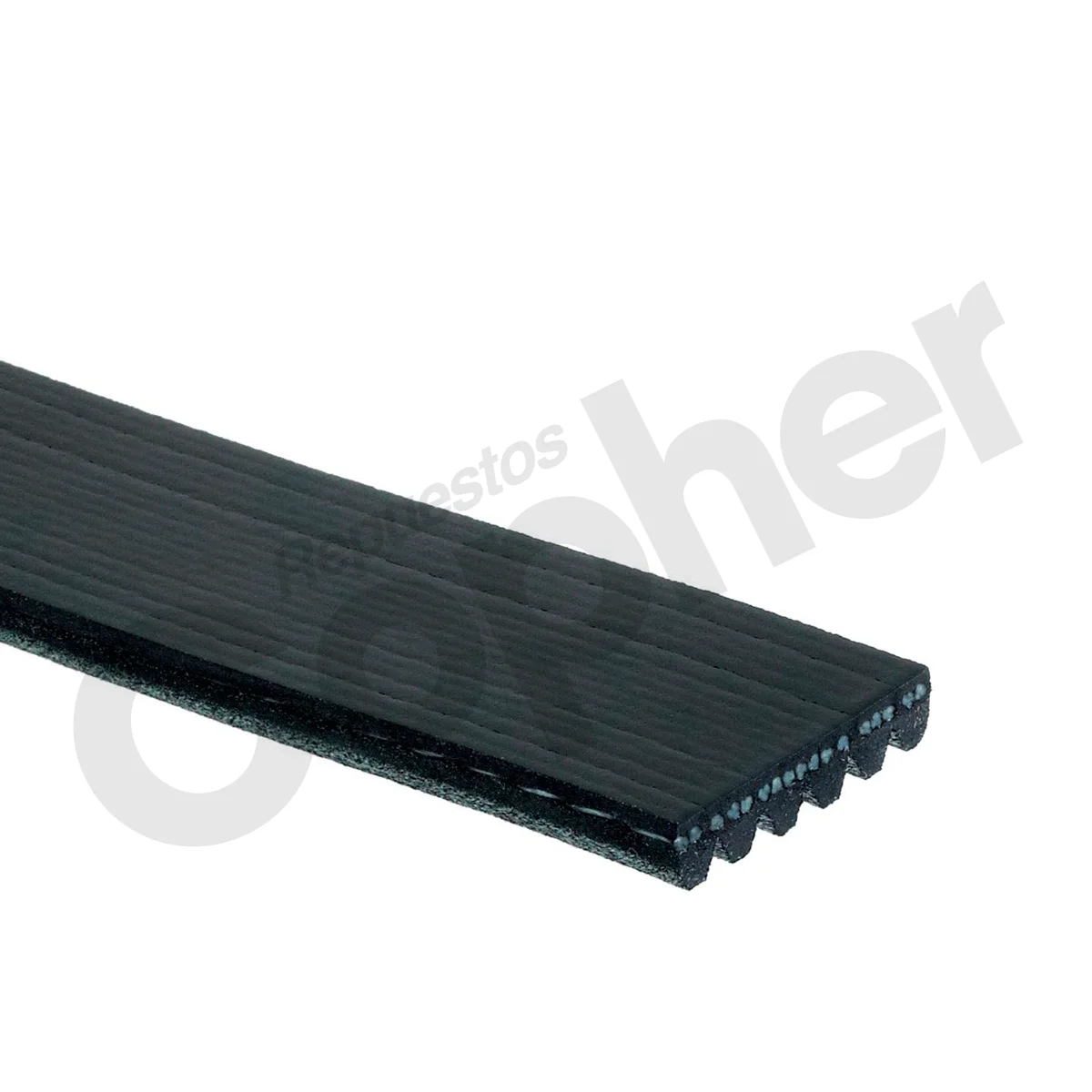 FAJA CODIGO 6PK1840 - Imagen 2