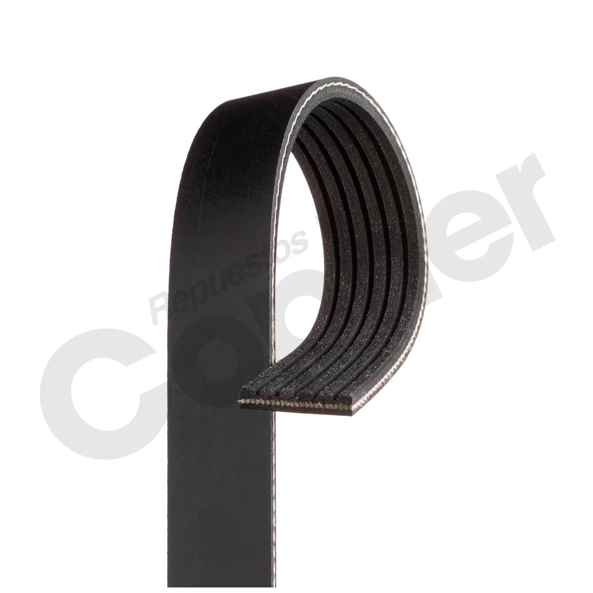 FAJA CODIGO 6PK1840 - Imagen 3