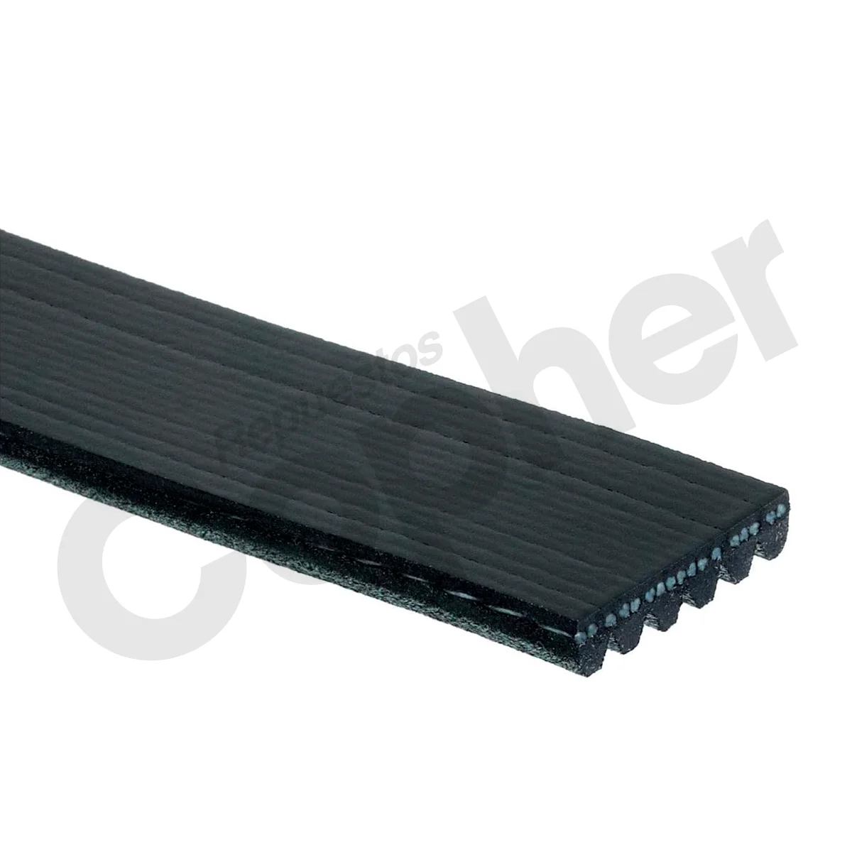 FAJA CODIGO 6PK1845 - Imagen 2