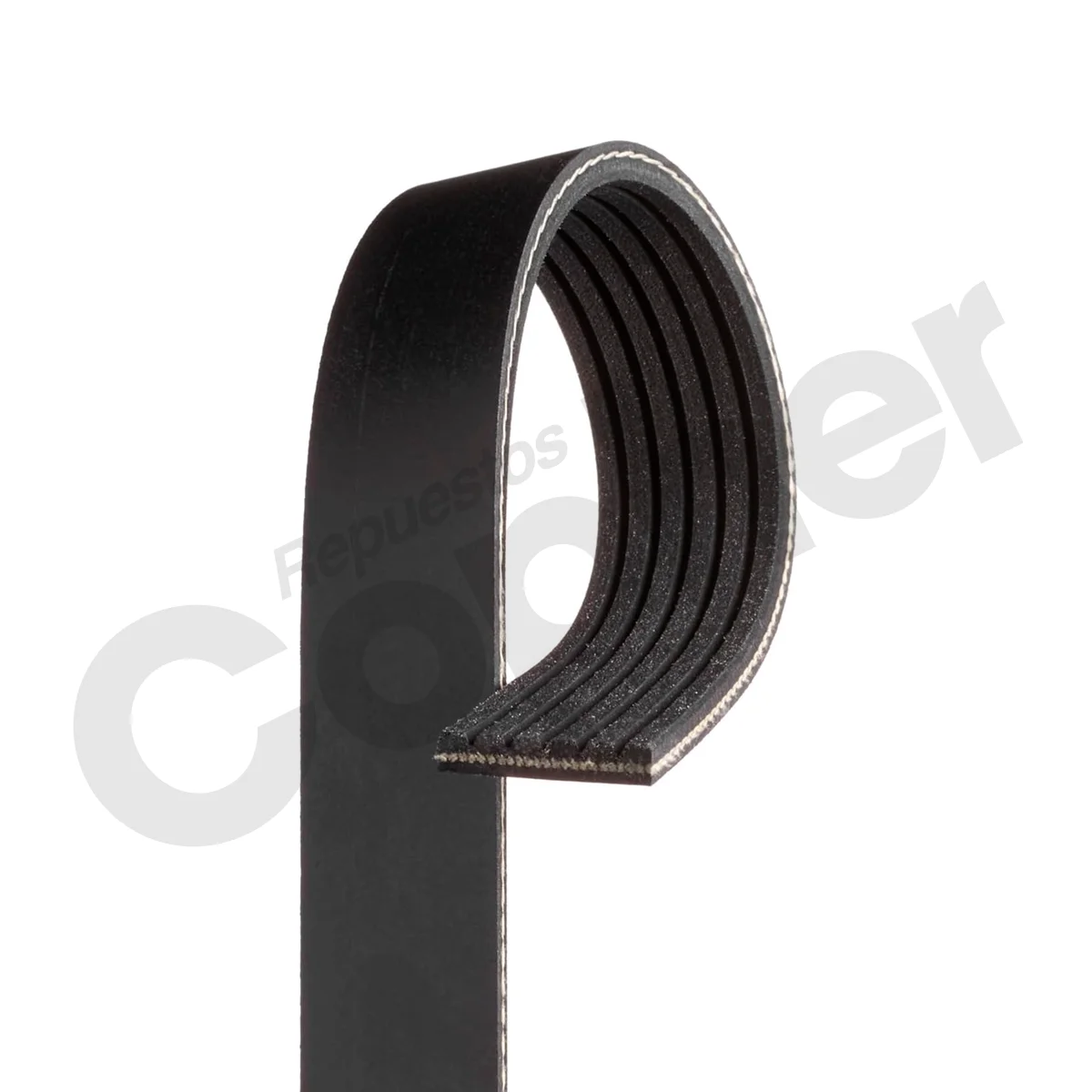 FAJA CODIGO 6PK1845 - Imagen 3