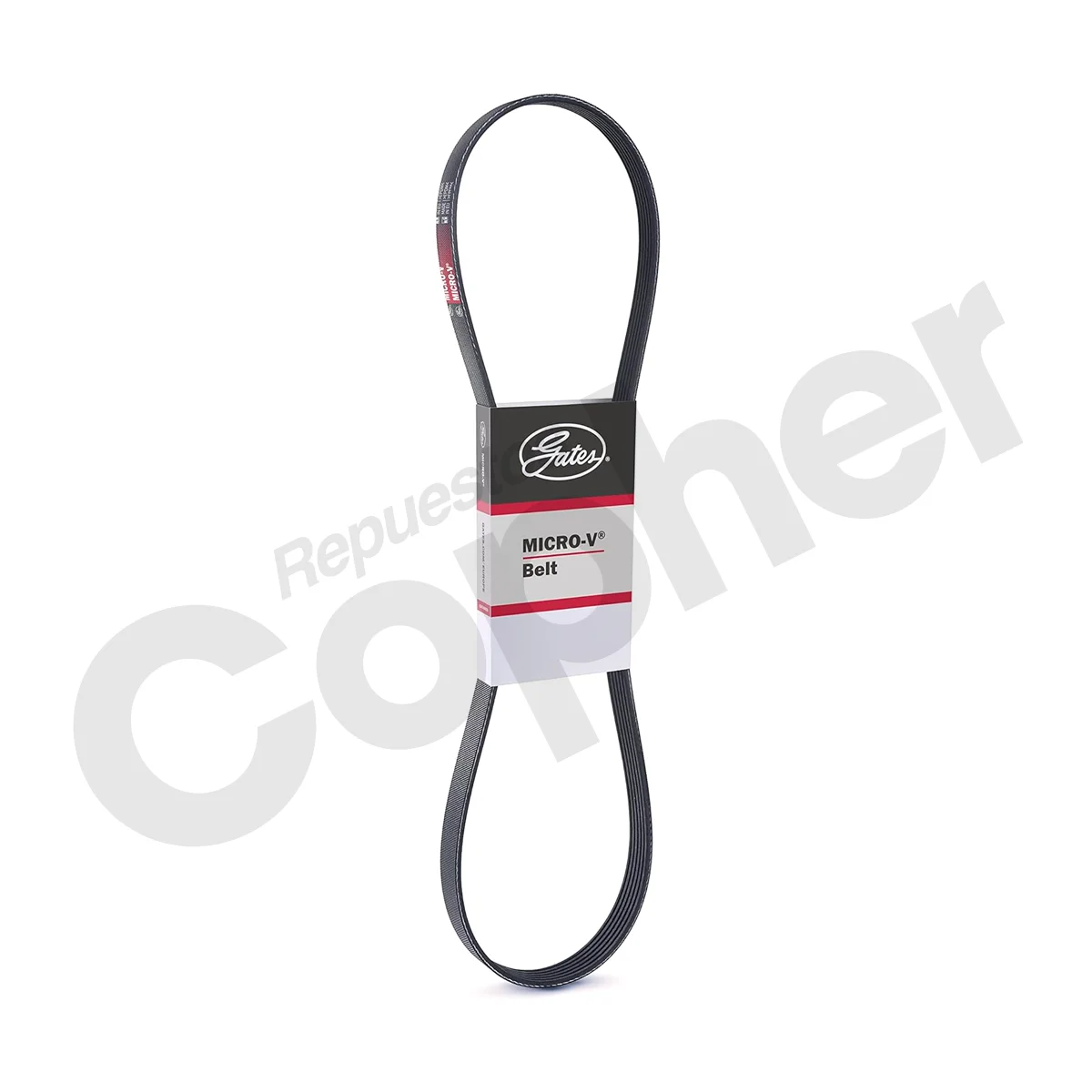 FAJA CODIGO 6PK188