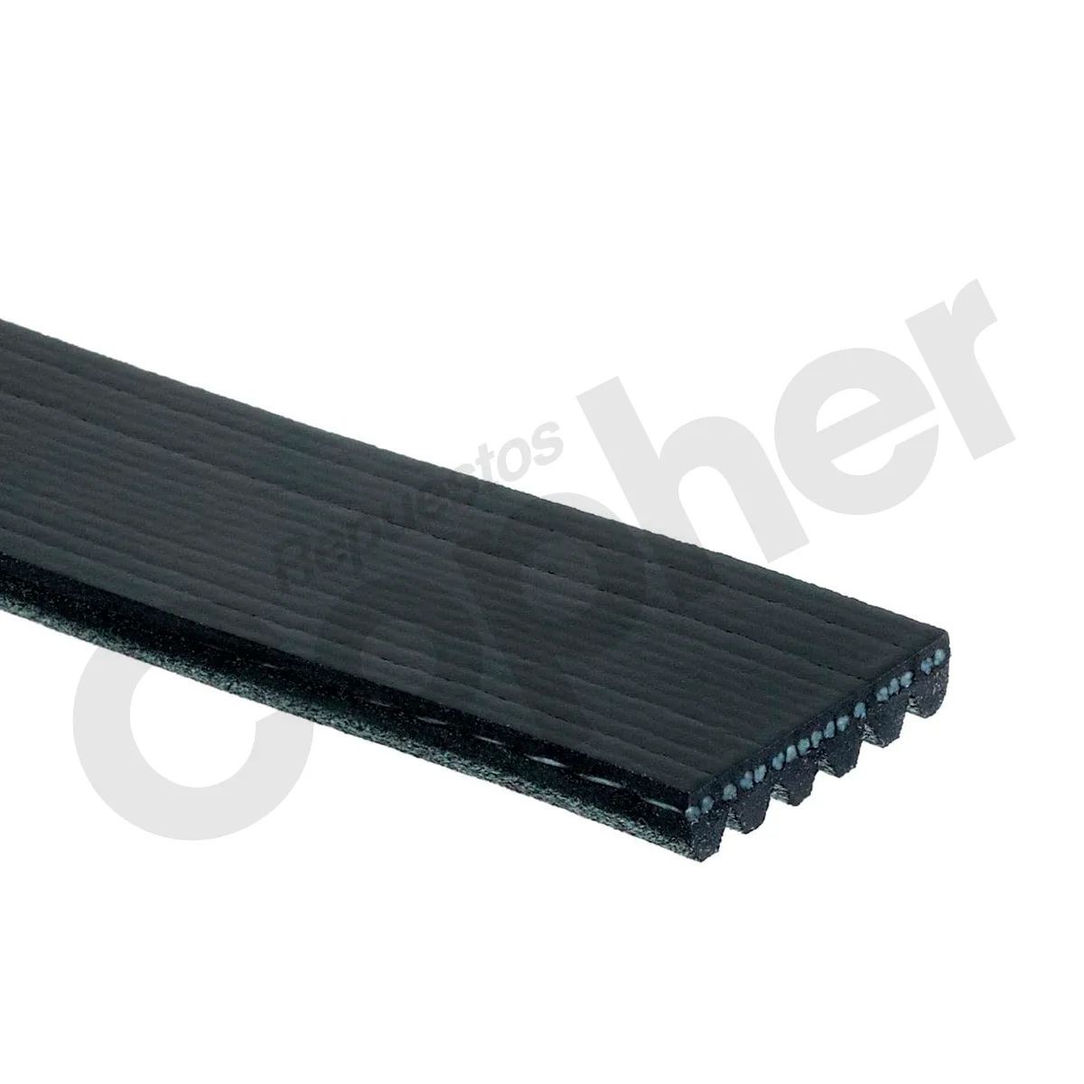 FAJA CODIGO 6PK188 - Imagen 2