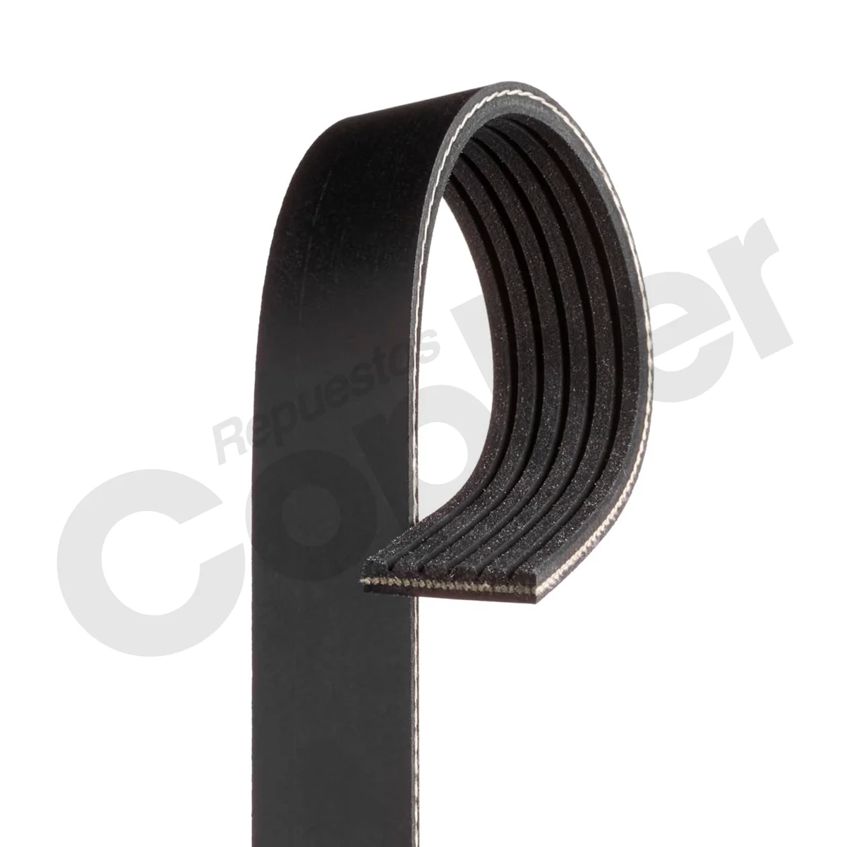 FAJA CODIGO 6PK188 - Imagen 3