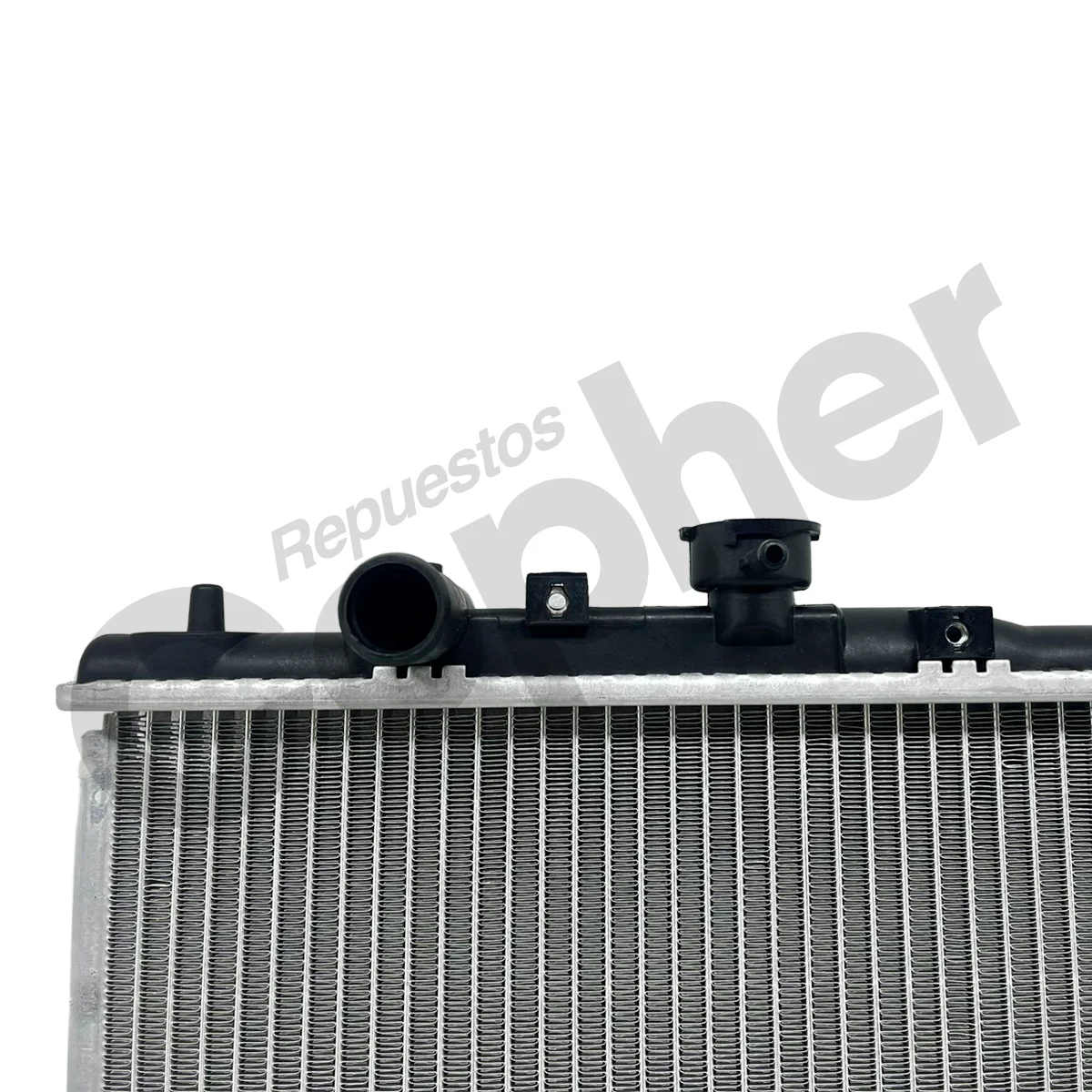 RADIADOR PROTEGE 2000 - Imagen 2