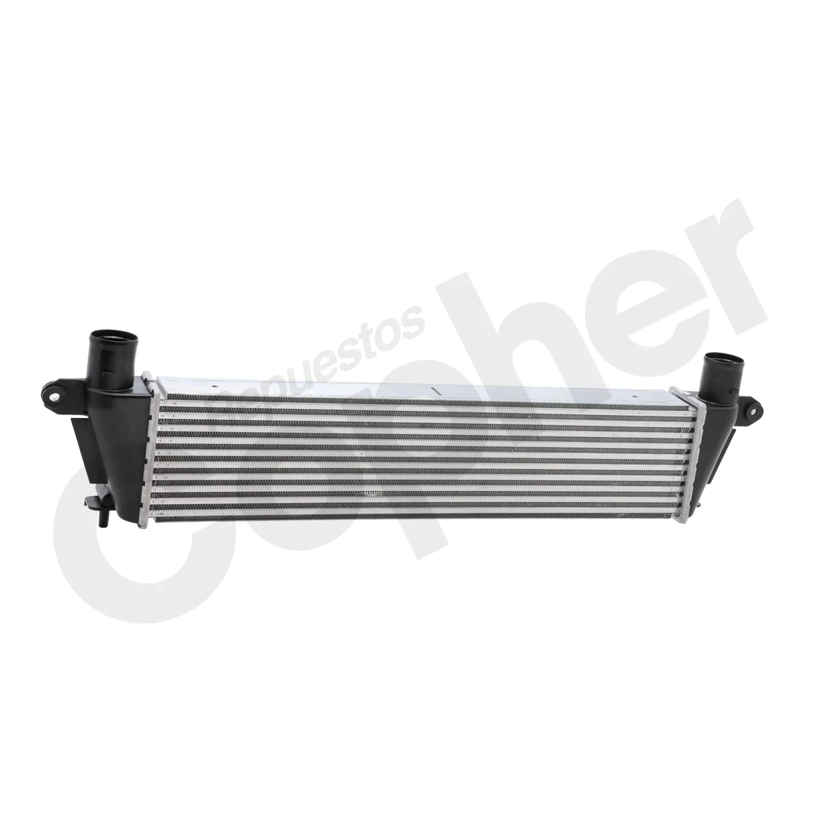 INTER D-MAX 12-